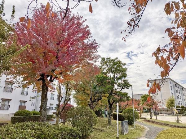 富田第二住宅68号棟　5階