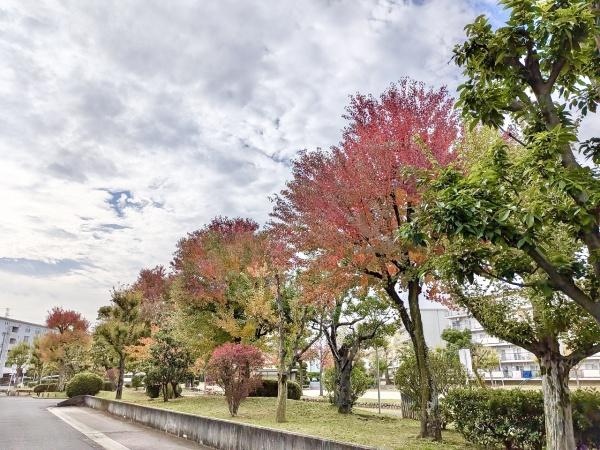 富田第二住宅68号棟　5階