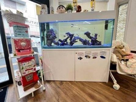 高槻市東五百住町２丁目の中古一戸建て