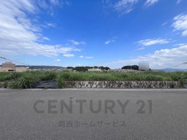 1号地