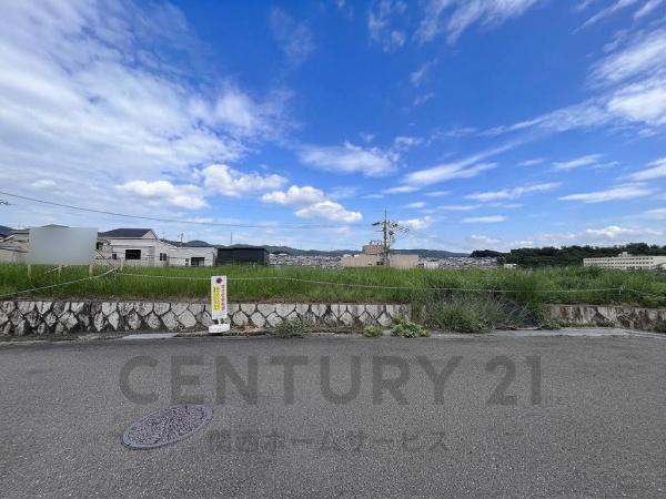 1号地