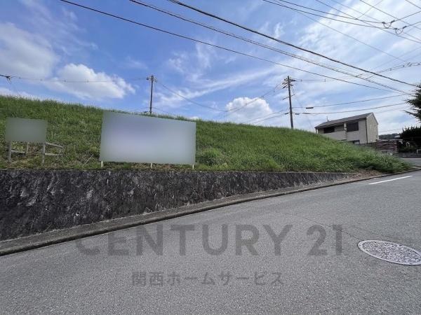 1号地
