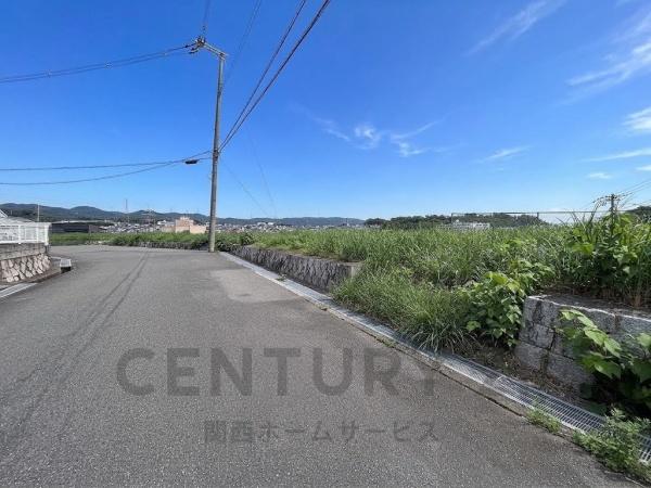 1号地