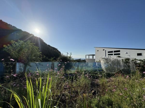 洲本市五色町鳥飼浦の土地