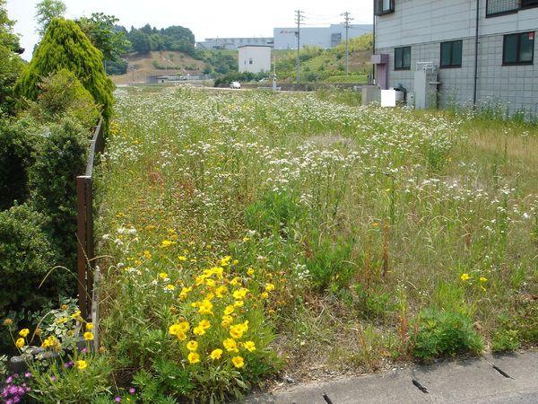 美濃加茂市蜂屋町中蜂屋の土地