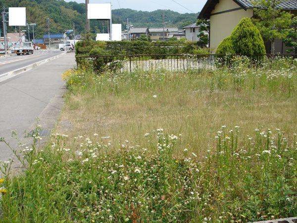 美濃加茂市蜂屋町中蜂屋字雨田(No.15278)