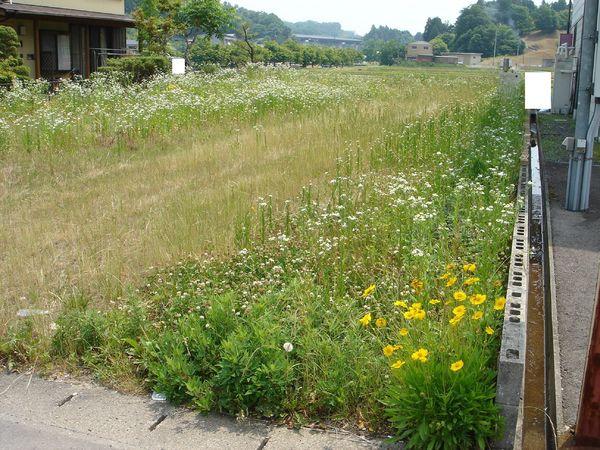 美濃加茂市蜂屋町中蜂屋の土地