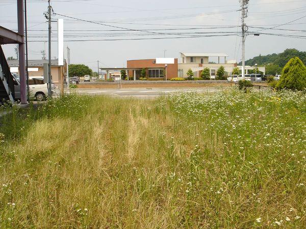 美濃加茂市蜂屋町中蜂屋の土地