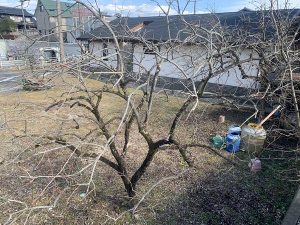 可児市東帷子の土地