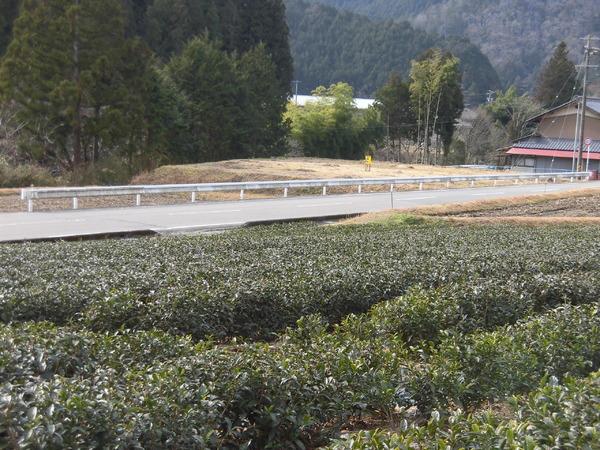 加茂郡白川町水戸野の土地