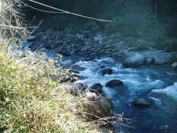 加茂郡白川町水戸野の土地