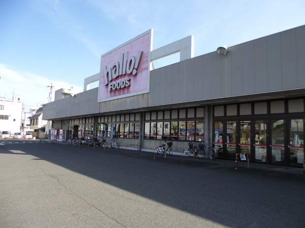 美濃加茂市太田町の土地(コノミヤハローフーズ美濃加茂店)