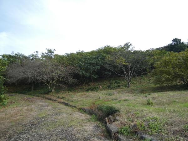 可児市東帷子の土地