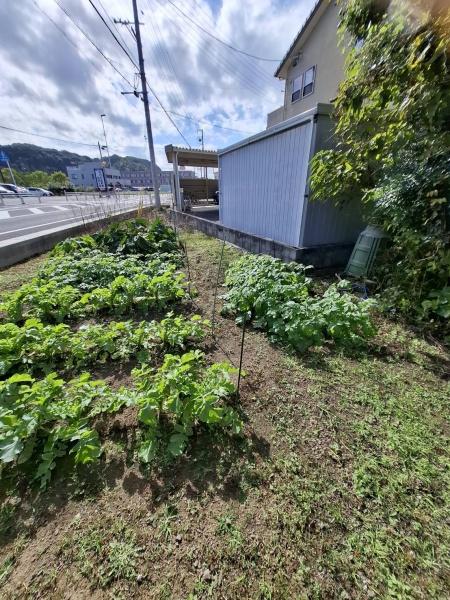 加茂郡坂祝町黒岩の土地