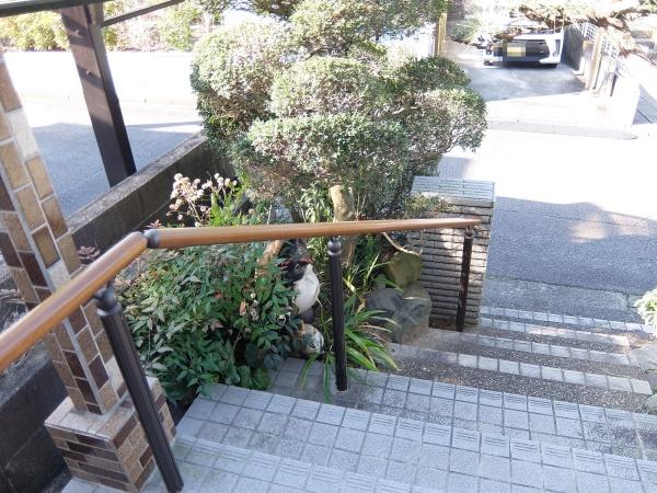 可児市若葉台２丁目の中古一戸建て