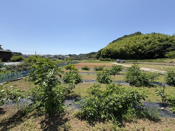 可児市西帷子の土地