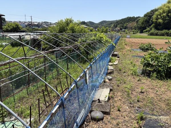 可児市西帷子の土地