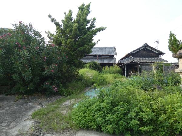 愛西市見越町堂起の土地