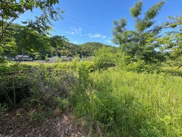 加茂郡川辺町上川辺の土地