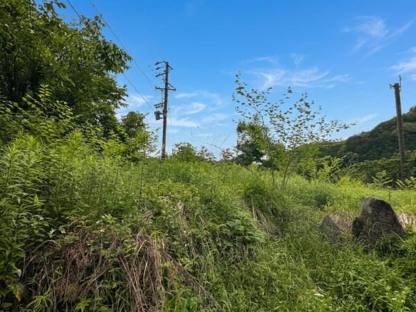 加茂郡川辺町上川辺の土地