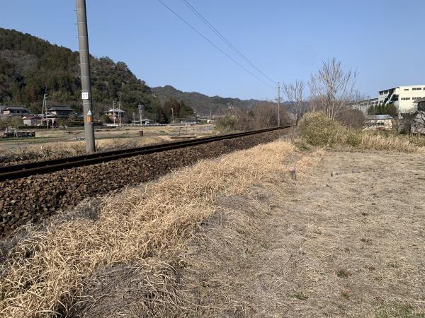 加茂郡川辺町上川辺(No.19248)