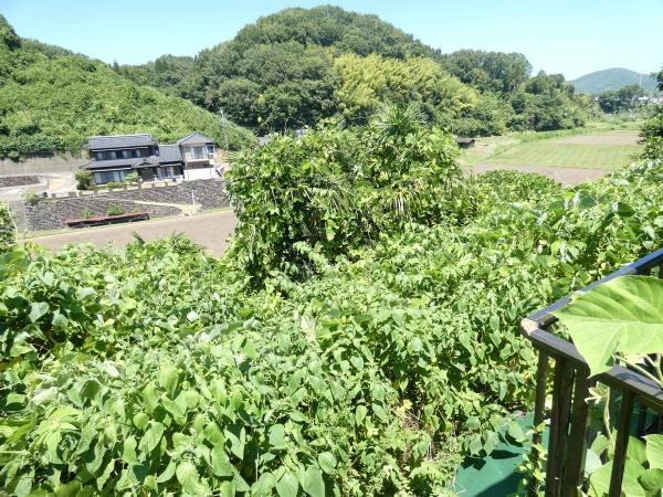可児市長坂７丁目の土地