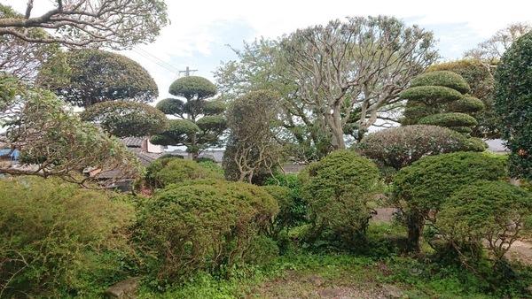 天草市五和町御領の土地