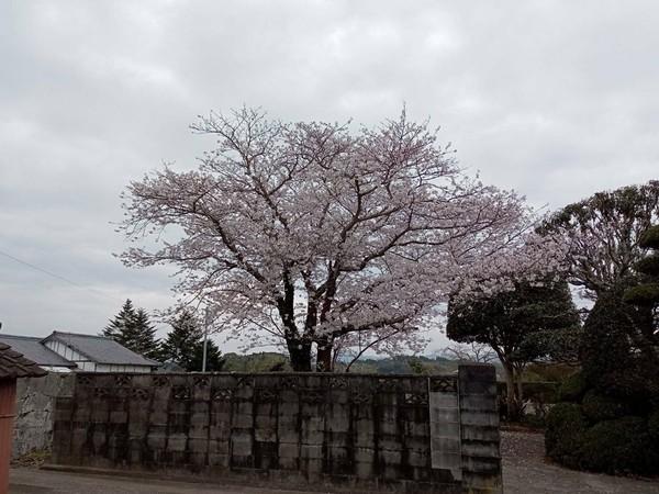 天草市五和町御領売地