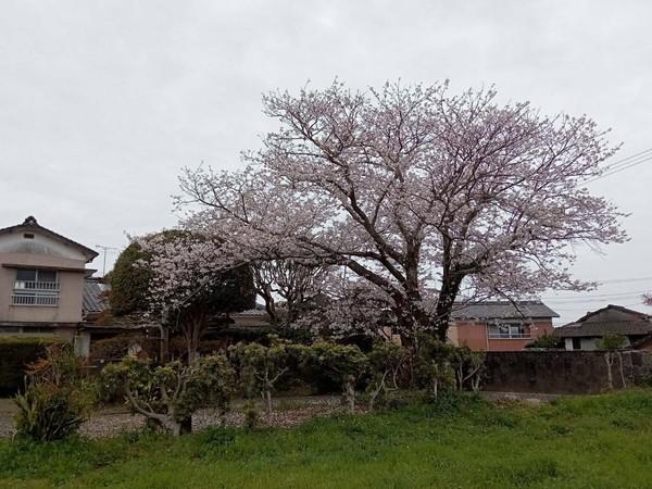 天草市五和町御領の土地