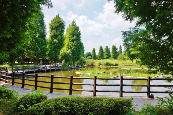 川口市大字東内野の新築一戸建(川口自然公園)