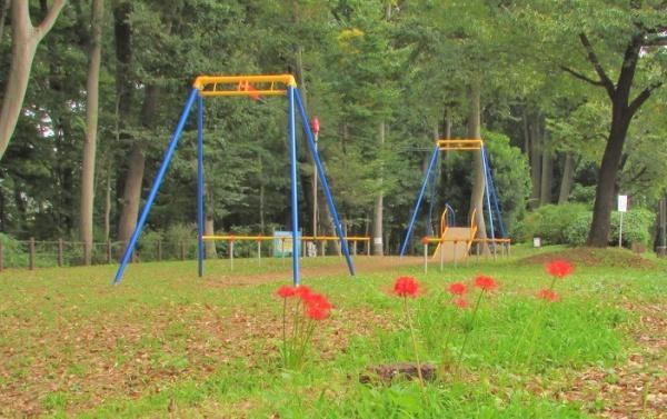 川口市大字安行小山の新築一戸建(安行原自然の森)