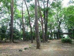 さいたま市緑区原山4丁目の土地(駒場緑地)