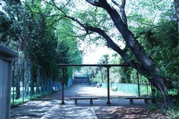 ローヤルシティ北越谷(北越谷第五公園)