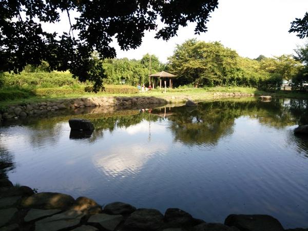 春日部市豊町1丁目の土地(大沼公園)