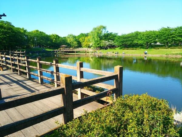 蓮田市椿山1丁目の土地(西城沼公園)