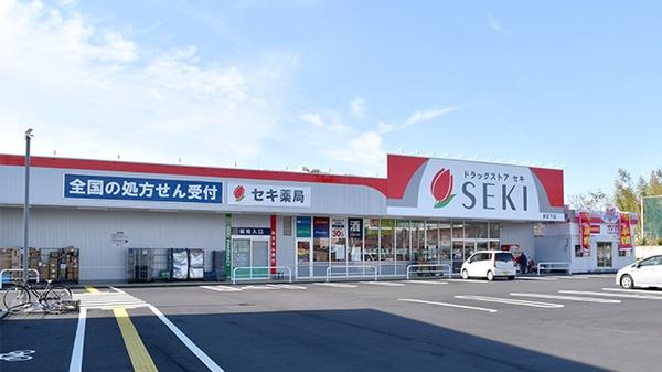 さいたま市見沼区大字新堤の中古一戸建て(ドラッグストアセキ東宮下店)