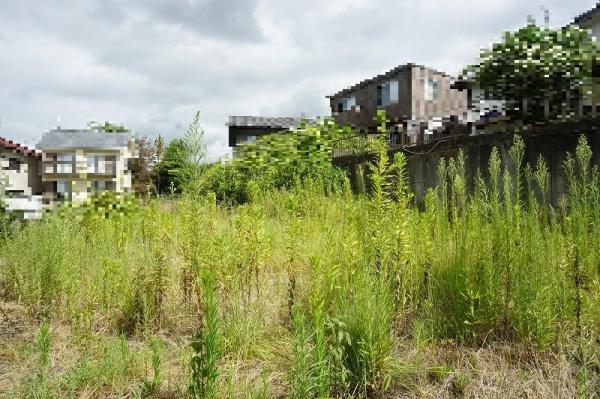 多治見市高田町11丁目の土地(その他現地)