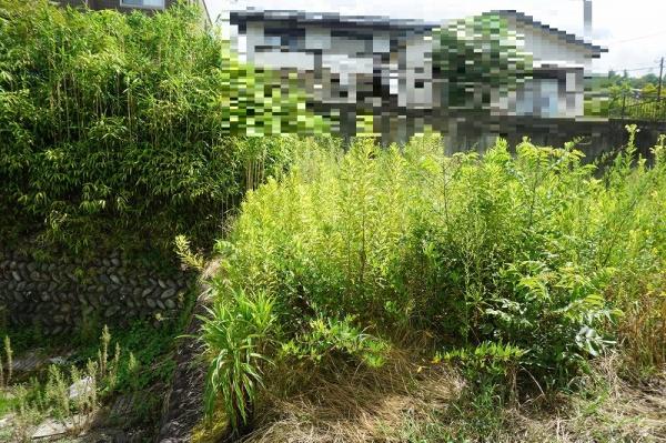 多治見市高田町11丁目の土地(その他現地)