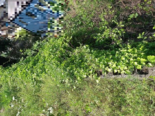 多治見市大畑町西仲根の土地