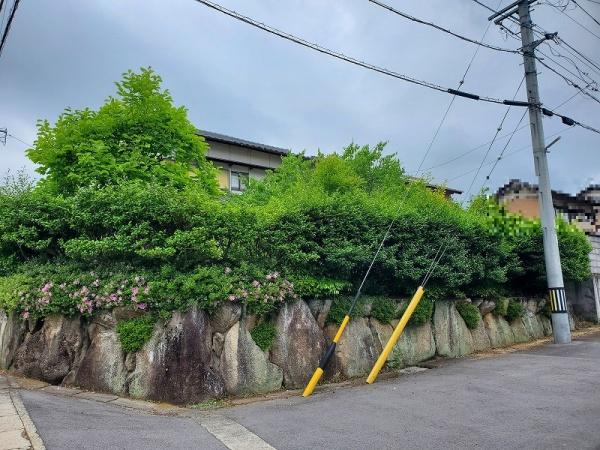 土岐市泉が丘町１丁目の土地