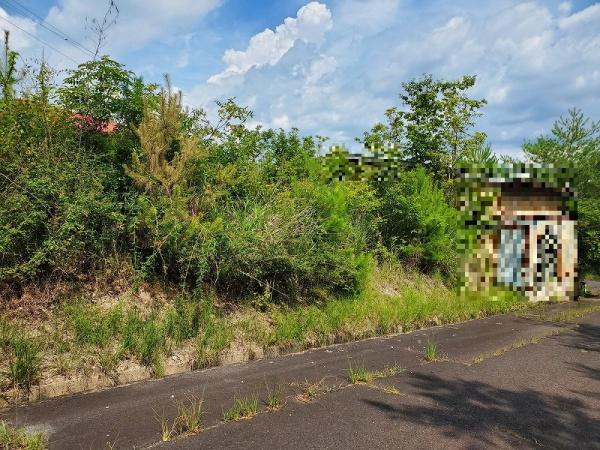 土岐市泉町大富の土地