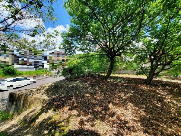 多治見市小名田町小滝の土地