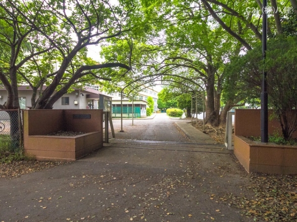 柏市藤心２丁目の新築一戸建(柏市立藤心小学校)