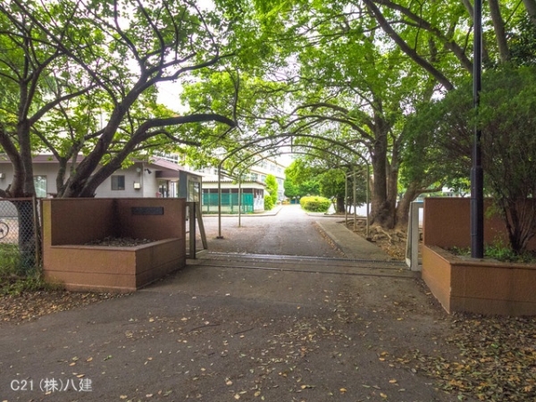 柏市藤心2丁目の新築一戸建(柏市立藤心小学校)