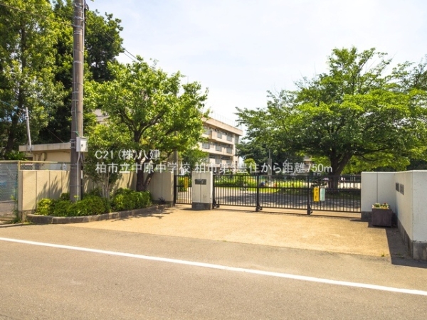 柏市豊住5丁目の新築一戸建(柏市立中原中学校)