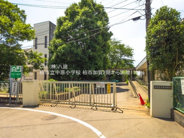 柏市加賀２丁目の新築一戸建(柏市立中原小学校)