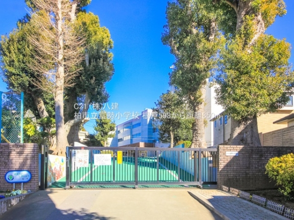 柏市根戸の中古一戸建て(柏市立富勢小学校)