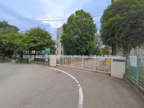 柏市つくしが丘２丁目の新築一戸建(柏市立中原小学校)