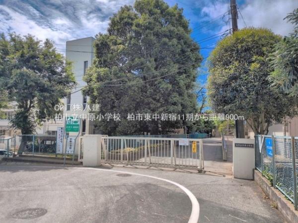 柏市東中新宿２丁目の新築一戸建(柏市立中原小学校)