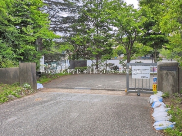 柏市藤心４丁目の新築一戸建(柏市立藤心小学校)